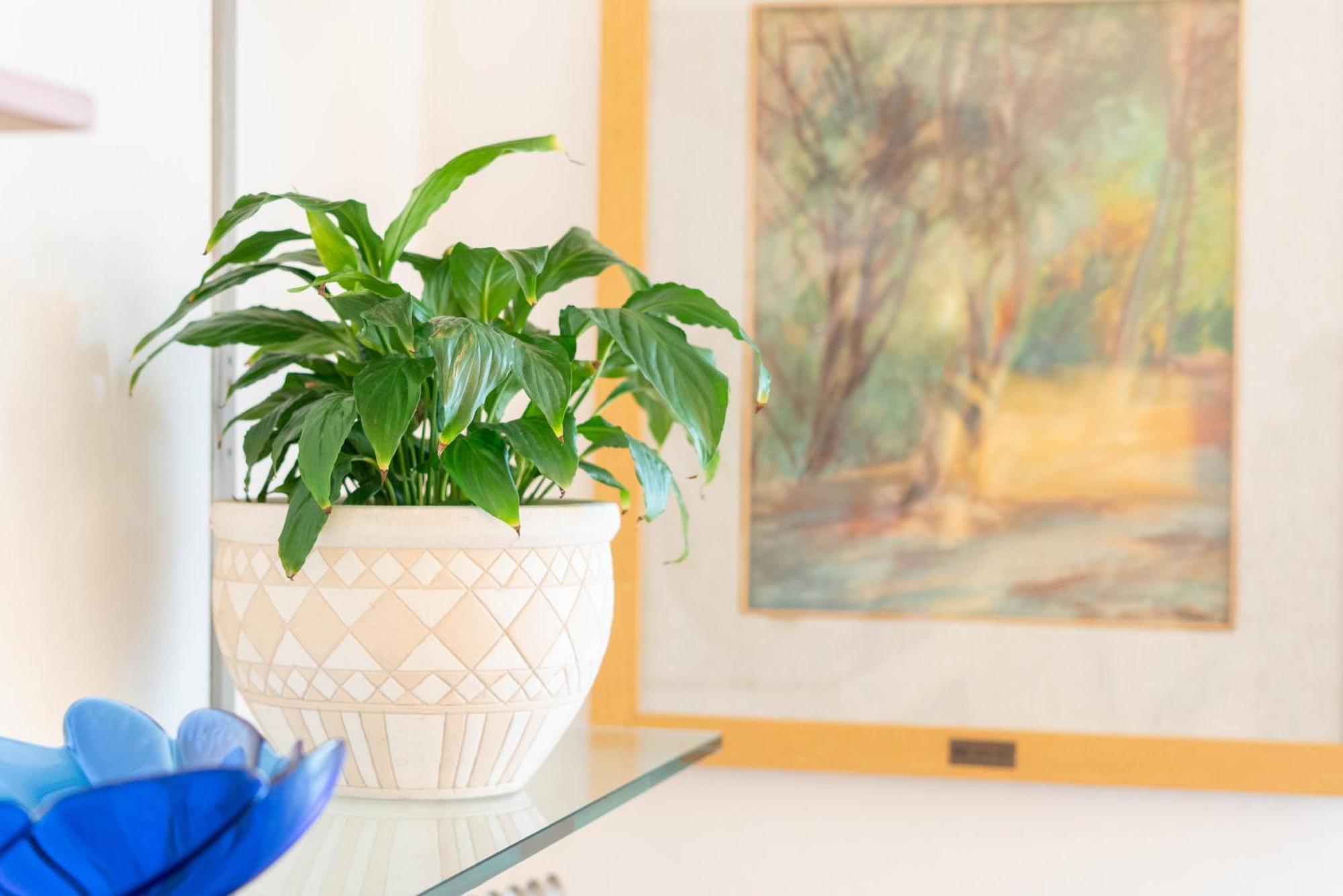 Poggio Nociano Apartment Сиена Екстериор снимка